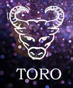 Che periodo abbiamo vissuto, cosa ci aspetta nel nuovo anno? 3 TORO web