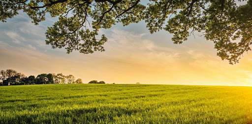 Il dipinto della Natura ne "I dolori del giovane Werther" di Goethe 2 natura