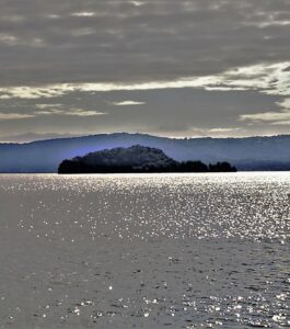 Contest TuTuscia: vince Roberto Meatta con un argenteo Lago di Bolsena 1 roberto meatta