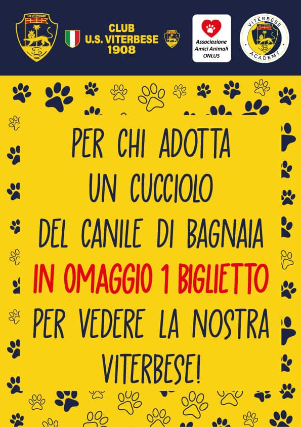 Parco Canile Viterbo: "Un'eredità che Paola Viglino sta portando avanti con amore" 8 241988178 371836027911690 7790224716883890664 n 1