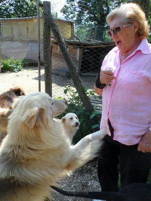 Fai un Goal vincente, adotta un amico a quattro zampe 1 elvia Viglino